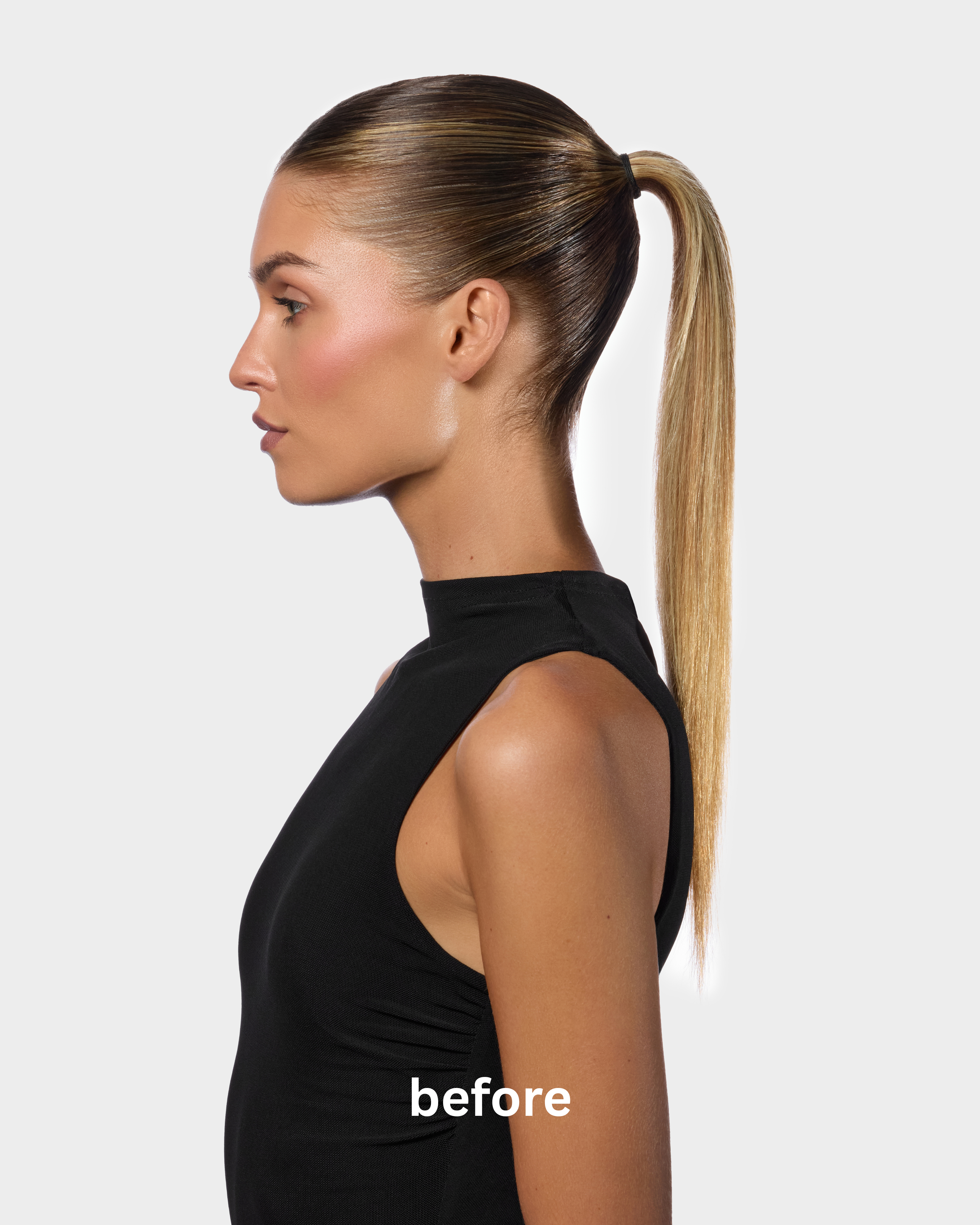 Biscotti Blend Ponytail Extension